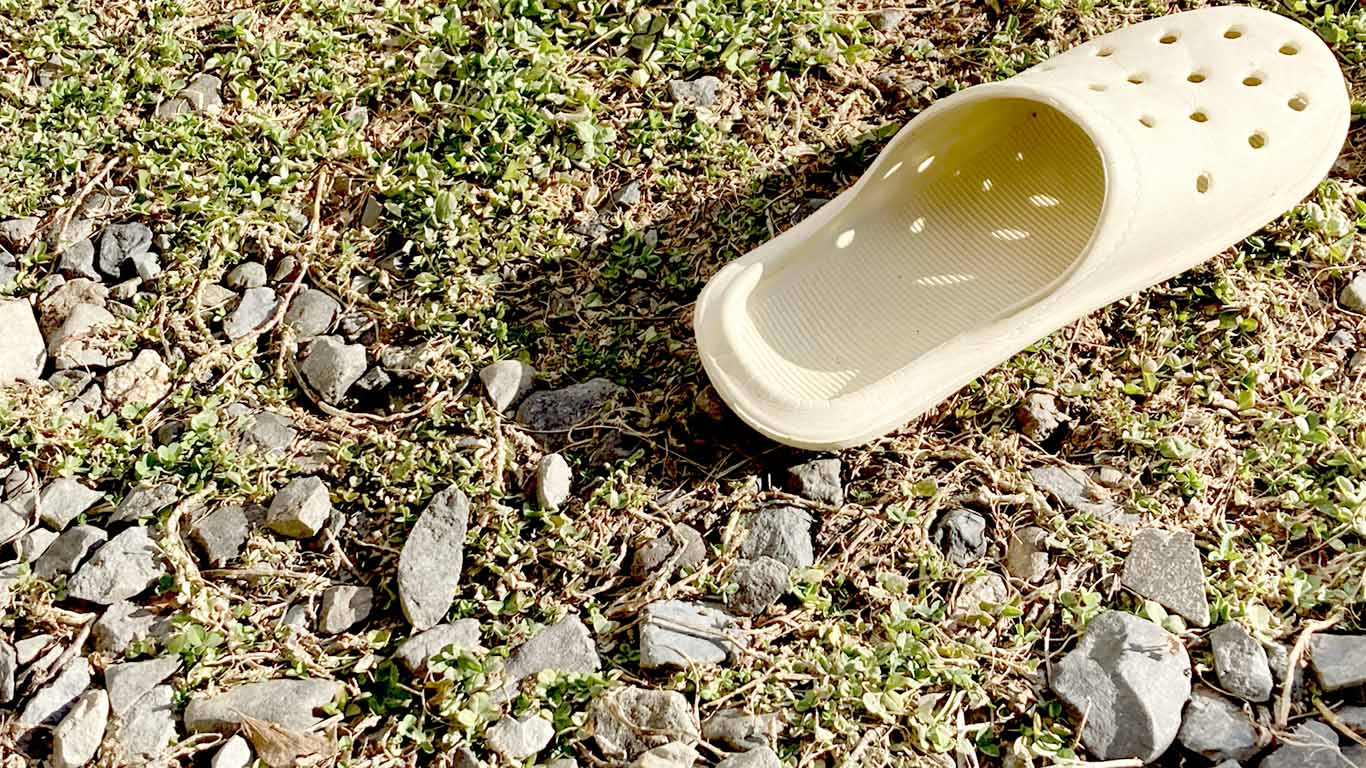 ⑧ 雑草が伸びていて歩く場所がわかりにくい